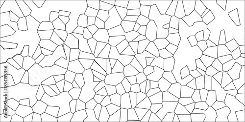 Intricate Voronoi Diagram Black Line Art on White Background Organic Cellular Pattern for Scientific or Abstract Design