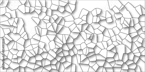 White Abstract Geometric Cell Structure with Black Outline and Shadow Effect on White Background for Biological or Scientific Concepts