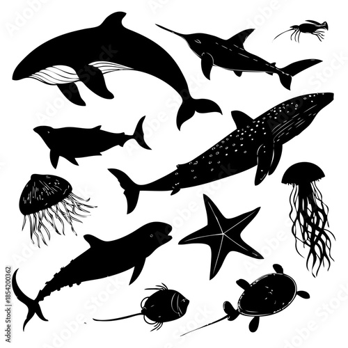 Diverse collection of marine life