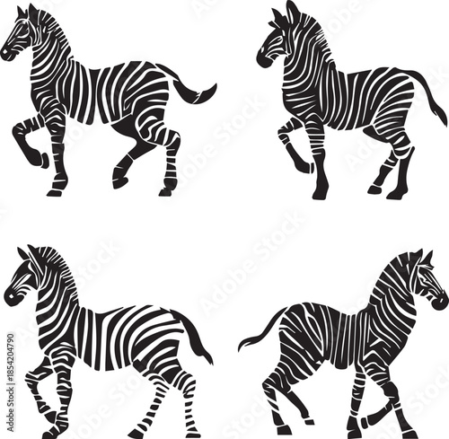 Zebra silhouette wildlife animal black shape isolated on white