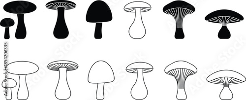 Mushroom and fungi icon set featuring edible toadstools, wild forest mushrooms and botanical silhouettes in black and outline style for nature design