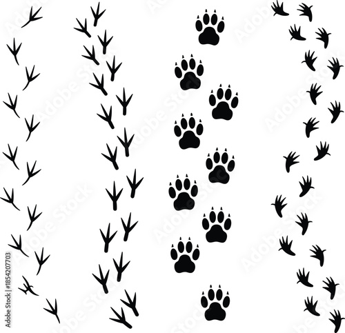 animal track icons including bird and mammal footprints, ideal for wildlife studies, tracking guides, and educational design projects