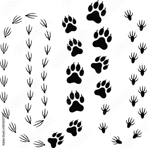 Animal footprint and paw print icon set featuring wildlife tracks, predator and prey trail patterns for hunting, nature study and outdoor tracking design
