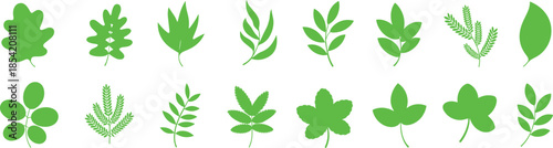 Green leaf icon set featuring diverse foliage shapes and botanical styles for nature, ecology, gardening, and educational design applications.