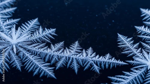 Close-up view of delicate, intricate ice crystals showcasing the beauty of natural patterns.