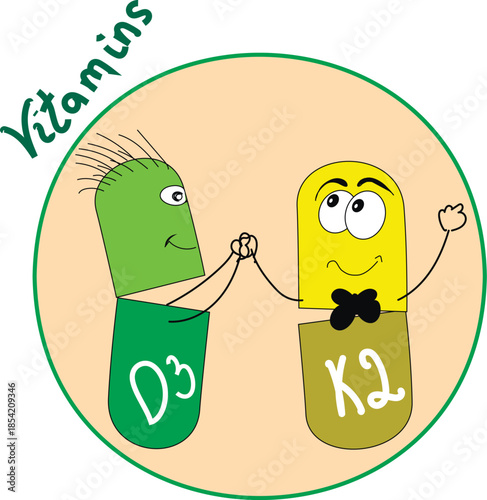 Vector illustration showing vitamins D3 and K2 as compatible nutrients supporting bone and heart health