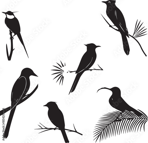 Nature bird silhouette icon set perched branch black vector on white background