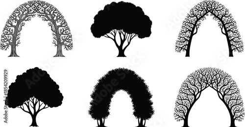 Stylized tree illustrations with arching branches and varied foliage, artistic nature design set, forest symmetry concept - flat vector illustration