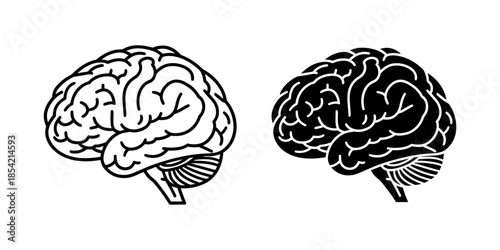 Two brain illustrations