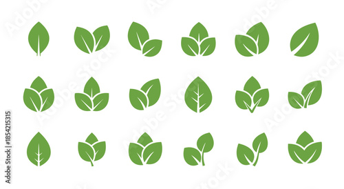 Collection of green leaves on white background for nature designs