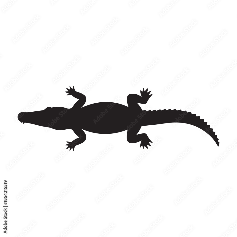 Naklejka premium Crocodile Side View