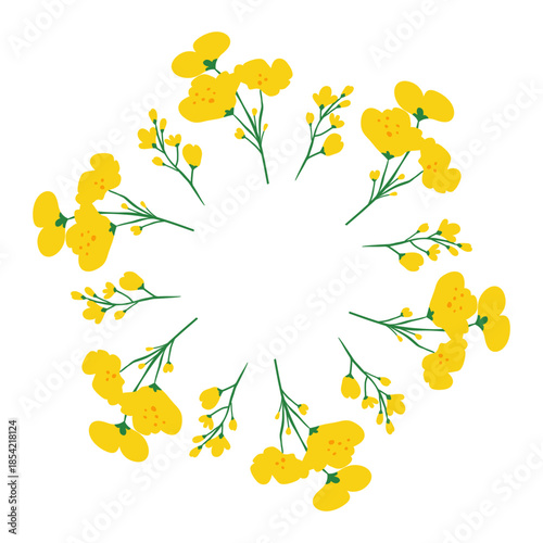 Cute circle frame with hand drawn canola rapeseed flowers isolated on white background.