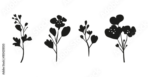 Hand drawn black rapeseed flower silhouettes isolated on white background. Blooming canola plants.