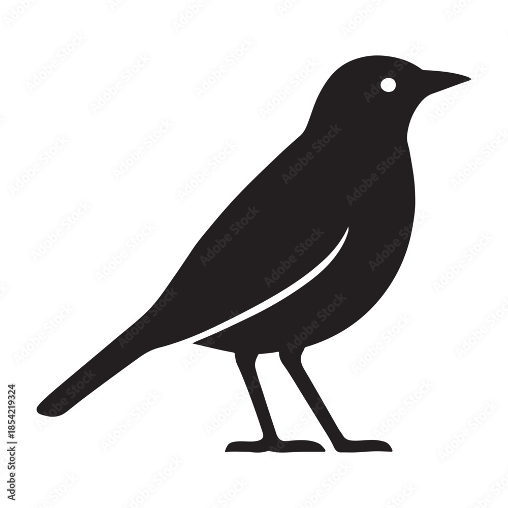 Fototapeta premium Crow Silhouette