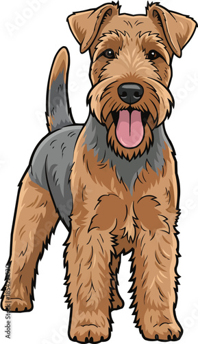 Lakeland Terrier dog standing happy panting smiling pose