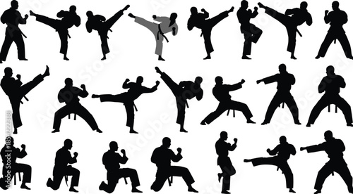 Martial Arts Silhouette Collection Featuring Karate and Taekwondo Poses with Kicks Punches and Traditional Combat Stances for Sports Graphic Design