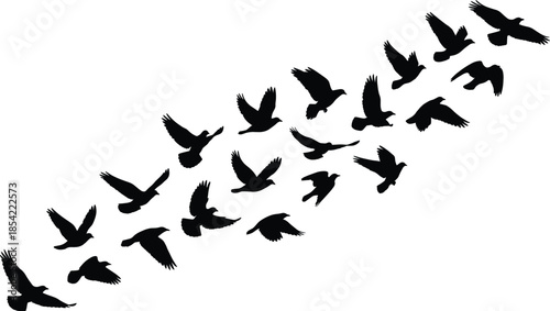 Flying bird silhouettes flock in motion isolated on white background freedom migration wildlife nature vector illustration black design art concept