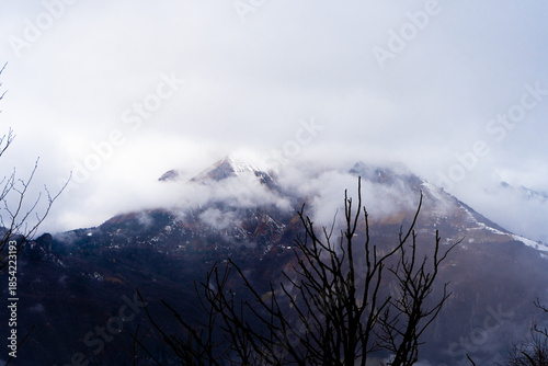 fog in the mountains