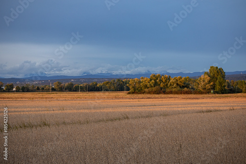 vista panoramica di un ambiente naturale delle campagne italiane nel nord-est Italia, al tramonto, con cielo nuvoloso
