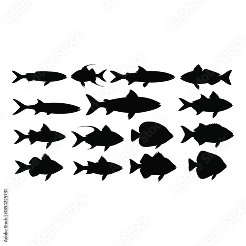 A collection of various black silhouette fish shapes displayed in a grid pattern