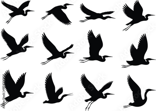 Flying bird silhouettes set, black crane heron shapes illustration isolated white background vector collection design