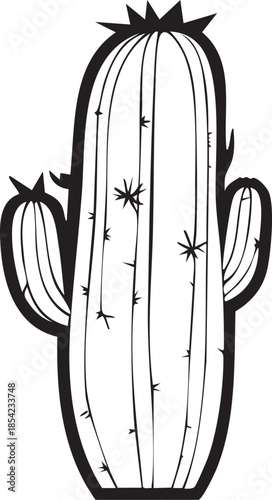 Plant Cactus illustration