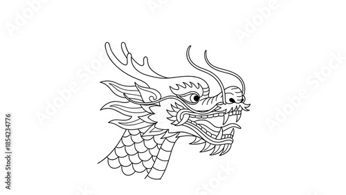 Detailed dragon head line art with intricate scales and features