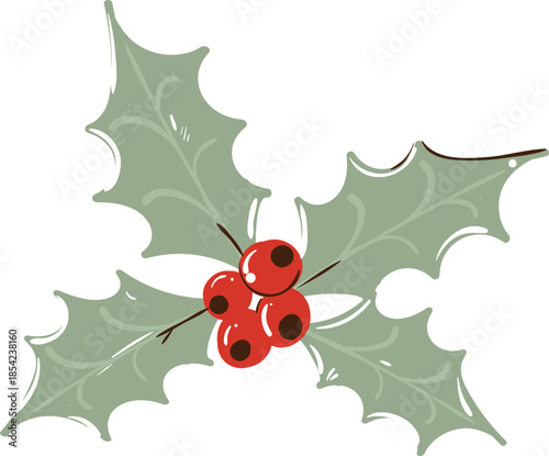 Vector art of simple illustration of holly leaves and red berries cluster for christmas or winter design element