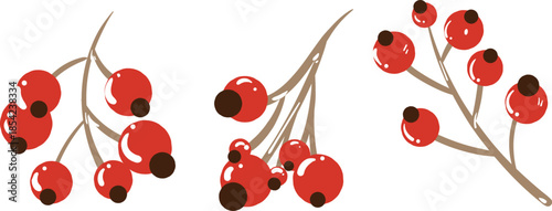 Vector art of three clusters of bright red berries on thin brown stems