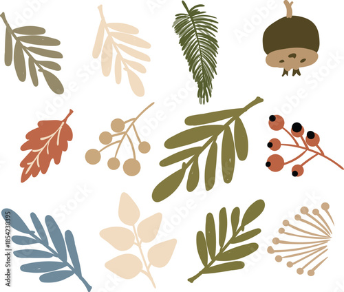 Vector art of collection of various stylized autumn and nature leaves, berries, and a small acorn 