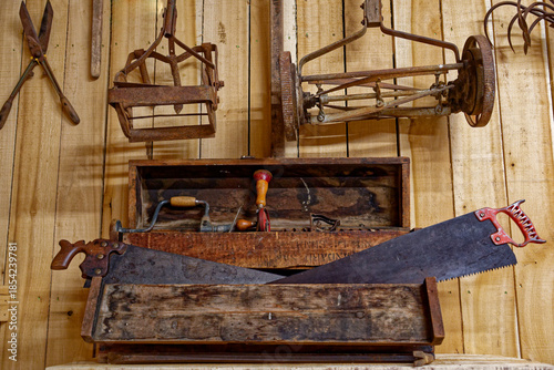 Vintage garden and other tools