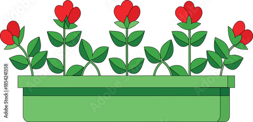 Vibrant red flowers in a green planter box on a white background
