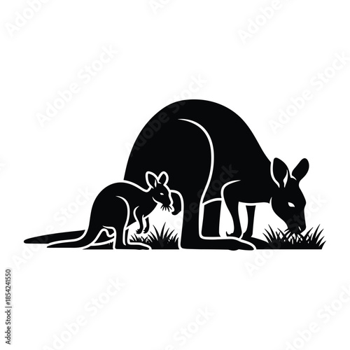 Mother and baby kangaroo silhouette grazing on grass