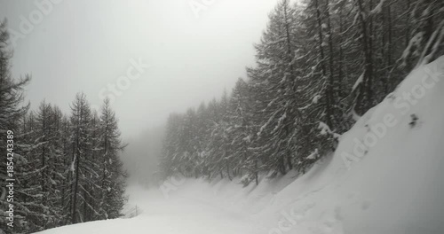 Skiing down a slope in snowy, gloomy, foggy woods