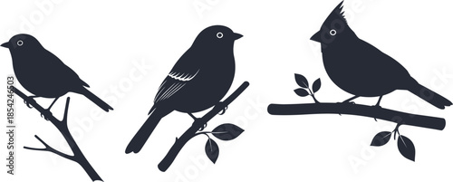 Collection of bird silhouettes perched on branches, perfect for nature-inspired designs