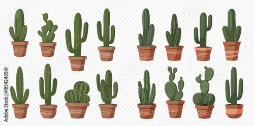 Collection of various potted green cacti and succulents, decorative house plants in brown pots.