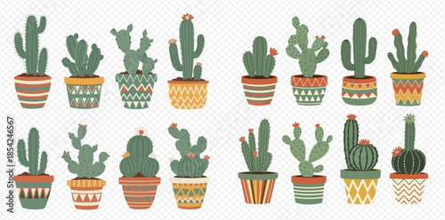 Collection of various potted cacti and succulents with decorative patterns, perfect for home decor or garden design.