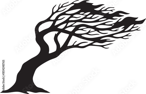 Leafless Wind-Swept Tree with Crooked Trunk Silhouettes isolated on white background