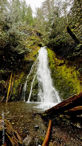 Waterfall in the forest