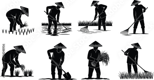Rice farming worker silhouette set with traditional agriculture tools harvesting planting poses isolated on white background vector illustration