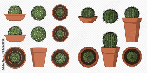 Set of potted cactus plants viewed from different angles, including top, side, and front views, on a transparent background.