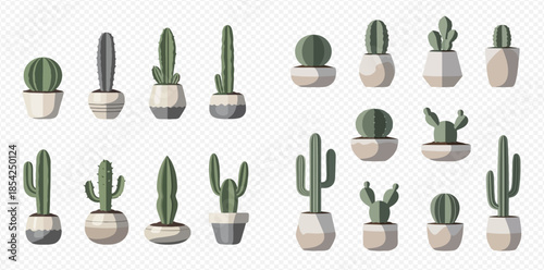 Collection of various potted cacti and succulents in different shapes and sizes, perfect for home decor.