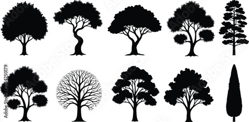 Tree silhouette collection with various deciduous and evergreen shapes natural forest elements isolated on white background vector illustration design