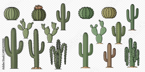 Set of various green desert cacti plants with spines and flowers isolated on transparent background.