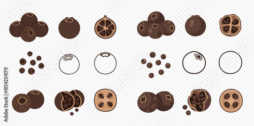 Set of black pepper icons, whole and ground, with cross-section views, isolated on transparent background.