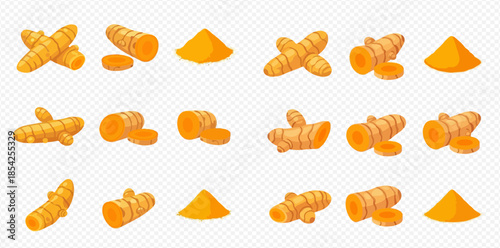 Set of fresh and ground turmeric roots, whole and sliced, with a pile of vibrant yellow powder.