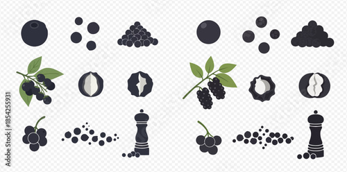 Black pepper vector set showing whole peppercorns, ground pepper, and pepper mill for cooking.