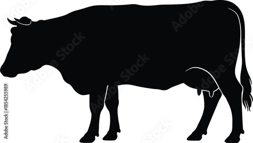 Black cow farm animal silhouette logo style design for agriculture branding Vector illustration
