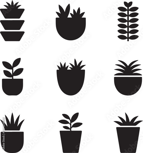 Succulent plant, potted nature, indoor garden, geometric pot, botanical leaf, decorative cactus, home flora