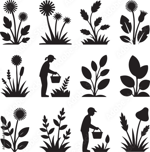 Wildflower plant, nature grass, gardening person, floral meadow, mushroom fungus, botanical growth, outdoor hobby icons